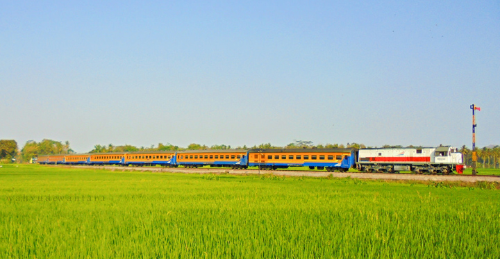 Hamparan sawah yang hijau menjadi pemandangan di Stasiun Ngebruk | Foto: www.wahyudewantara09.tk