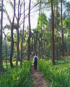 salah-satu-jalan-setapak-menuju-candi-sumberawan