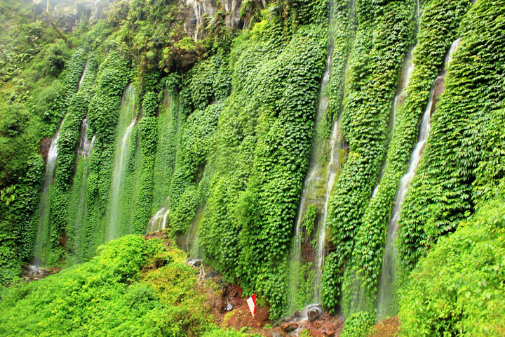Keindahan Air Terjun Grojokan Pitu (Foto: teguhtigor.wordpress.com)