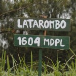 Latar Ombo di Gunung Panderman | Foto: Rosdi Yandoko