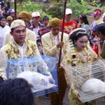Tradisi Manten Kucing di Malang Selatan - Indonesia.org