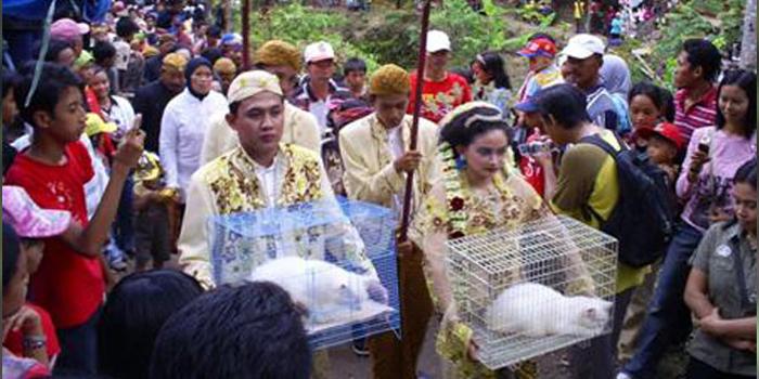 Tradisi Manten Kucing di Malang Selatan - Indonesia.org