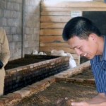 Serunya Belajar Bisnis Budidaya Cacing Bersama Adam Azis - Media Center Kendedes