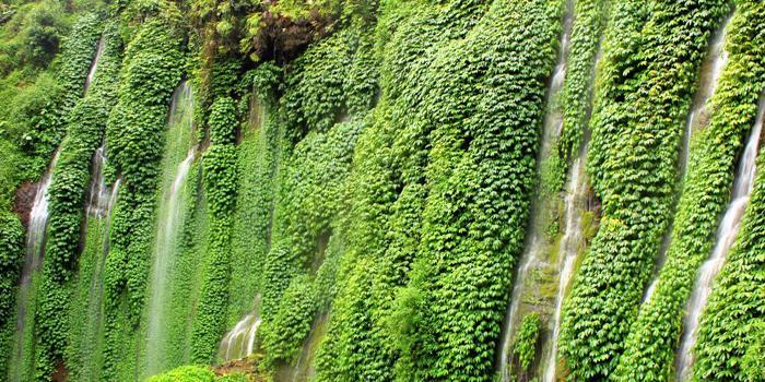 Sumber Songo Ngantang (C) Sanjainmexiko