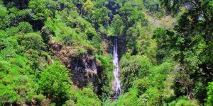 Coban Parangtejo Malang (C) Kayuhanku