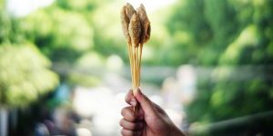 resep sempol malang