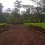 Rencana Pembangunan Jalur Terabasan Pasuruan-Batu melewati Desa Toyomarto (C) OLX