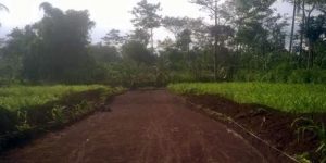 Rencana Pembangunan Jalur Terabasan Pasuruan-Batu melewati Desa Toyomarto (C) OLX