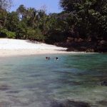 Sisi lain Pantai Bantol: Hutan Jati - darmasiswavedc.wordpress.com