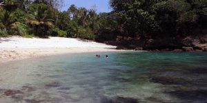 Sisi lain Pantai Bantol: Hutan Jati - darmasiswavedc.wordpress.com