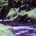 Jalan Raya Malang-Kediri di Desa Pait, Kecamatan Kasembon (C) DIMENSILAIN.COM