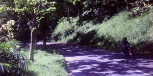 Jalan Raya Malang-Kediri di Desa Pait, Kecamatan Kasembon (C) DIMENSILAIN.COM