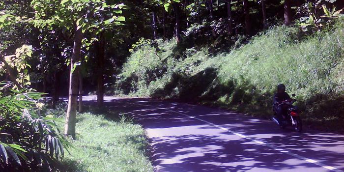 Jalan Raya Malang-Kediri di Desa Pait, Kecamatan Kasembon (C) DIMENSILAIN.COM