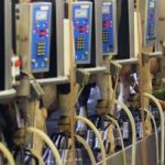 Simbiosis PT Greenfields Indonesia dan Warga Ngajum