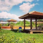 Taman Kenanga (foto: Instagram @aditya.pratamas)