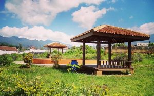 Taman Kenanga (foto: Instagram @aditya.pratamas)