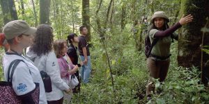 Main Outbond dan Kemah di P-WEC (C) P-WEC.ORG