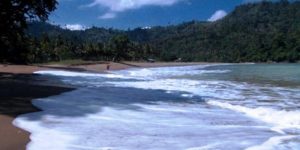 Meninggalkan Jejak di Pasir Putih Pantai Wediawu (C) HALOMALANG