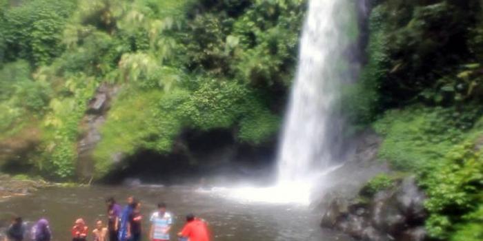 Coban Cinde, Wanawisata Tersembunyi di Tumpang (C) NETCJ