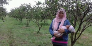 Mengenal Wisata Kampung Jeruk di Kepanjen