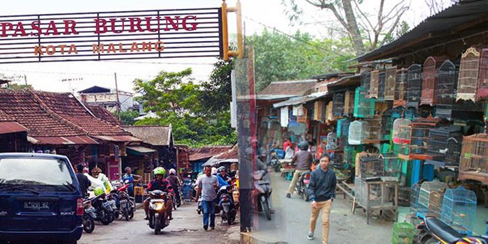 Intip Koleksi Pasar Burung Splendid (C) JAVAINDONESIA