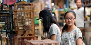 Tips Berbelanja di Pasar Burung Splendid (C) MALANGONLINE