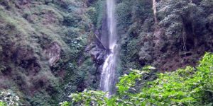 Coban Rais, Kesegaran dari Lereng Gunung Panderman (C) mday.info