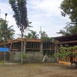 Sensasi Menyantap Mentok Pedas di Warung Nayamul (C) MERDEKA