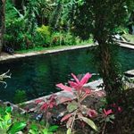 Segarnya Sumber Umbulan di Dampit