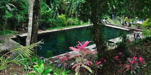 Segarnya Sumber Umbulan di Dampit