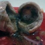 Uniknya Penampakan Bakso Sumsum Cak Hadi (C) MERDEKA