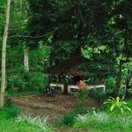 Perdebatan Dua Versi Sejarah Desa Pamotan