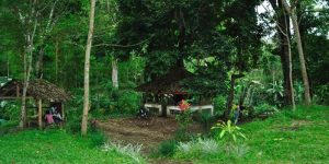 Perdebatan Dua Versi Sejarah Desa Pamotan