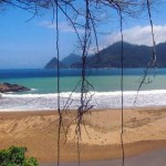 Pantai Pancer, Surga Tersembunyi di Sumbermanjing Wetan (C) WHIEMPY