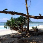 Pantai Batu, Pelengkap Wisata ke Pantai Sendiki