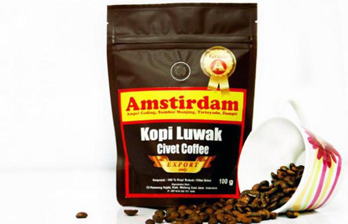 Mau Kopi Luwak Asli Malang, Ada di Amstirdam