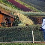 Hobbit House, Spot Selfie ala Taman Kelinci Pujon (C) ANISA AE