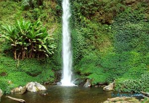 Pilihan Jalur Trekking Seru di Coban Tengah (C) HALOMALANG