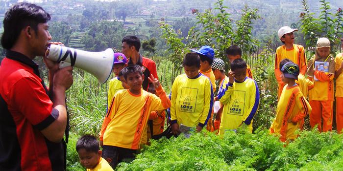 Jajal Agrowisata Petik Sayur di Pujon Batu (C) AGROWISATA PETIK SAYUR