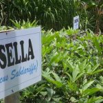 Kota Malang Punya Kampung Herbal di Buring (C) KOMPAS