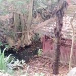 Sumber Beji, Patirthan Berpunden di Batu (C) RESTU RESPATI