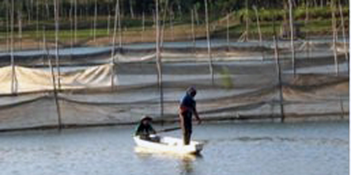 Warga Kalipare Galakkan Budidaya Keramba Ikan (C) KALIPARE