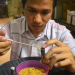 Fi-Batt atau baterai dari tulang ikan