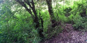 Tanah tempat perjuangan Pasukan Naga Hitam itu sekarang menjadi jalur pendakian menuju Gunung Butak di Dusun Princi