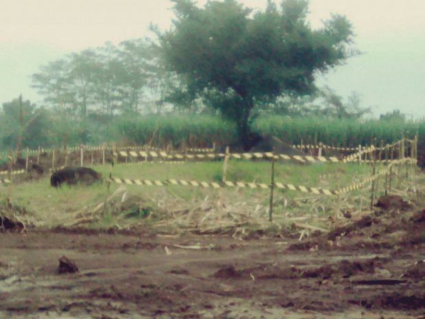 Situs Watu Gajah di Singosari | Foto: MalangTimes