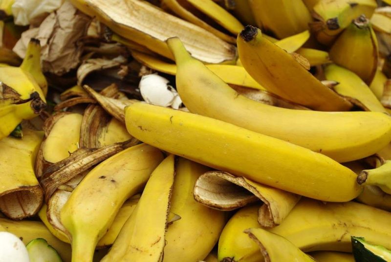 Kulit pisang bisa dimanfaatkan untuk plastik.