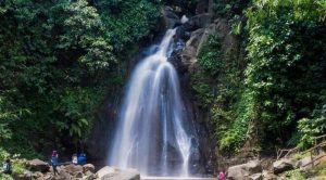 Coban Kethak alias Grojogan Singo punya eksotisme tersendiri di wilayah Kasembon (C) @galihyudha13