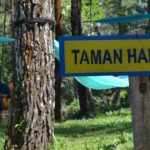 Taman Hammock, bagian dari wajah baru Wisata Sejarah Candi Sumberawan di Singosari, Kabupaten Malang (C) MERDEKA