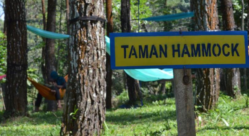 Taman Hammock, bagian dari wajah baru Wisata Sejarah Candi Sumberawan di Singosari, Kabupaten Malang (C) MERDEKA