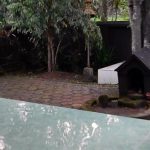 Situs Sumur Windhu, petilasan Ken Dedes yang ada di Kelurahan Polowijen (C) NMRNEWS